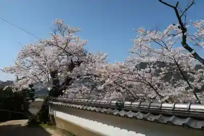 正印寺のその他建物