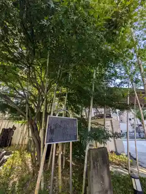 源長寺(東京都)