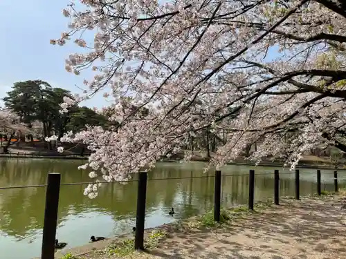 埼玉縣護國神社の自然