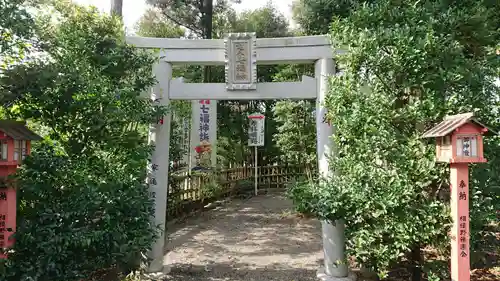 亀ケ池八幡宮の鳥居