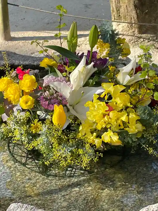 宝満宮竈門神社の手水舎