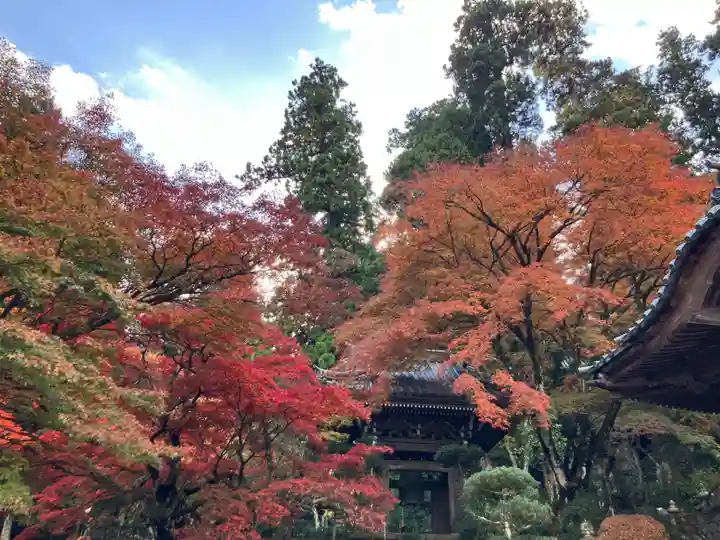 最乗寺(道了尊)(神奈川県)