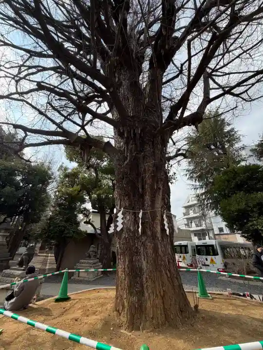 鳩森八幡神社の{uncategorized: "未分類", other: "その他", undefined: "問題あり", building: "その他建物", grave: "お墓", sacred_gate: "鳥居", guardian: "狛犬", statue: "像", buddha: "仏像", history: "歴史", nature: "自然", garden: "庭園", animal: "動物", pagoda: "塔", temizu: "手水舎", mountain_gate: "山門・神門", sanctuary: "本殿・本堂", subordinate: "末社・摂社", art: "芸術", scenery: "景色", jizo: "地蔵", ema: "絵馬", goshuin: "御朱印", omikuji: "おみくじ", items: "授与品その他", amulet: "お守り", goshuincho: "御朱印帳", eats: "食事", festival: "お祭り", votive_dance: "神楽", shichigosan: "七五三参", wedding: "結婚式", experience: "体験その他", initially: "初詣", around: "周辺", anti_infection: "感染症対策"}