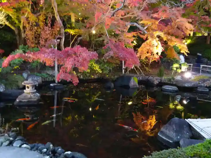 長谷寺(神奈川県)