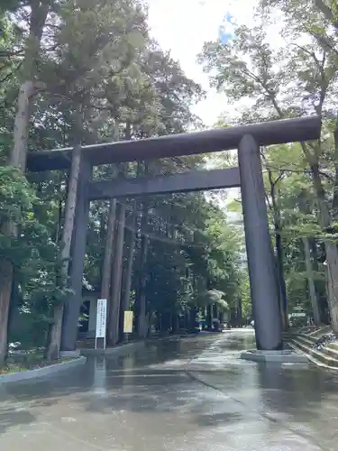 北海道神宮の鳥居