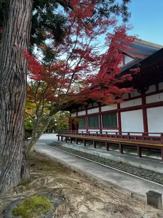 毛越寺(岩手県)
