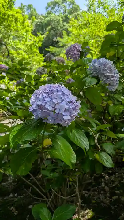 智積院(京都府)