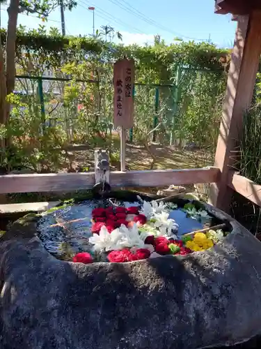 天然寺(埼玉県)