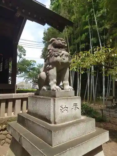 野々宮神社の狛犬