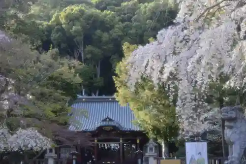 伊豆山神社の建物その他