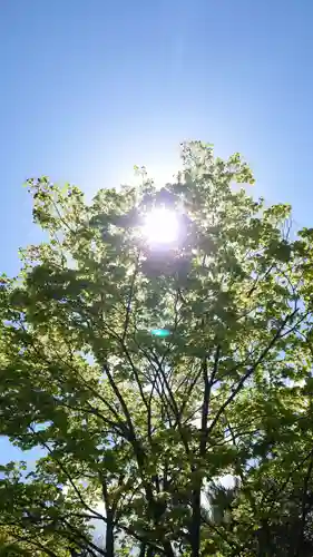 相馬神社の自然