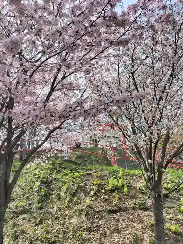 星置神社(北海道)