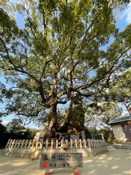 宇美八幡宮の自然
