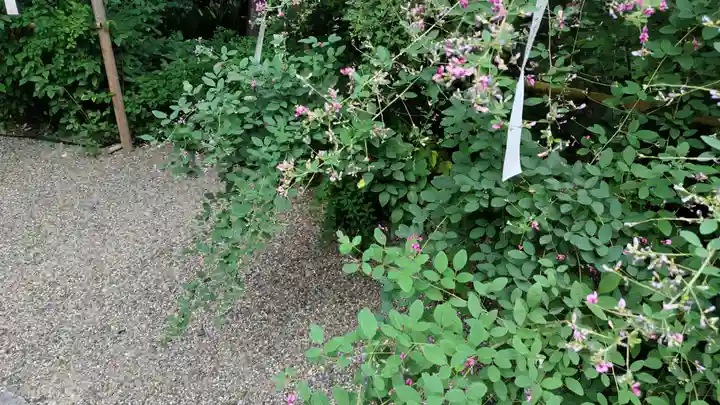 梨木神社(京都府)