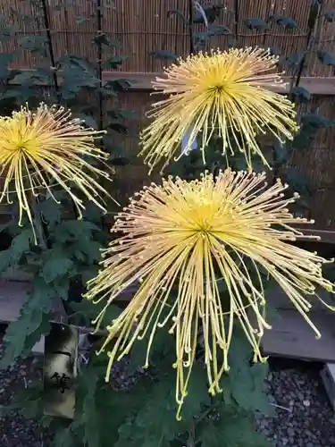 彌彦神社のその他建物