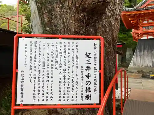 金剛宝寺（紀三井寺）(和歌山県)