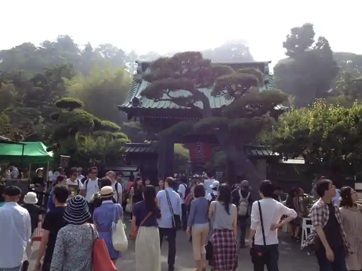 長谷寺(神奈川県)