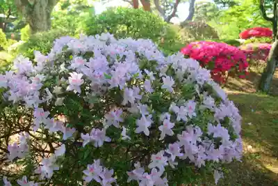 開成山大神宮の庭園