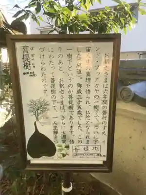 普光寺(愛知県)