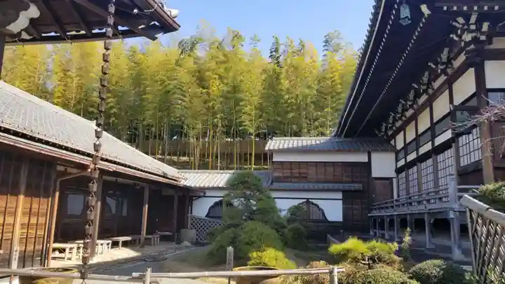 妙蓮寺の庭園