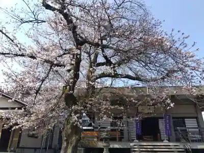 妙経寺(福井県)