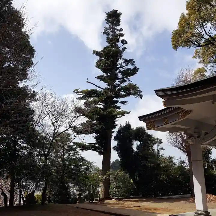 熊野神社のその他建物