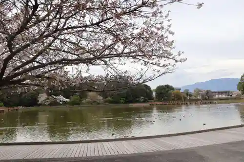 橿原神宮(奈良県)