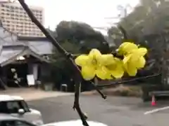 多賀神社の自然