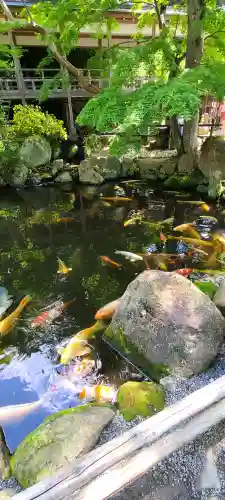 楽法寺（雨引観音）(茨城県)