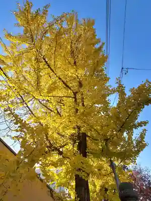 阿邪訶根神社(福島県)