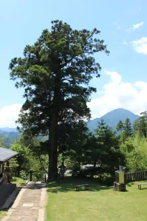 国宝 大法寺のその他建物