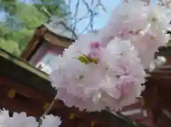 志波彦神社・鹽竈神社の自然