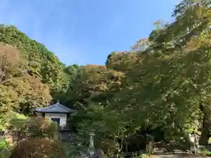 普門寺(切り絵御朱印発祥の寺)(愛知県)(2023年11月04日(土) 10時35分40秒投稿)