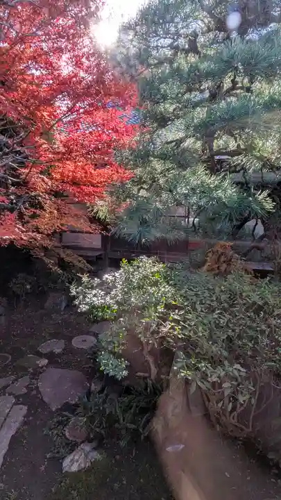 金臺寺(金台寺)(京都府)