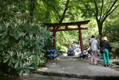 岡寺(龍蓋寺)(奈良県)