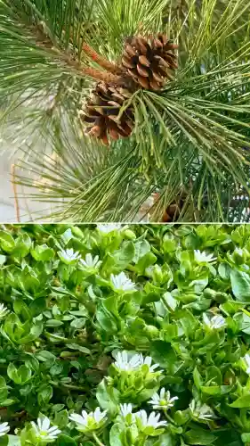 海神社の{uncategorized: "未分類", other: "その他", undefined: "問題あり", building: "その他建物", grave: "お墓", sacred_gate: "鳥居", guardian: "狛犬", statue: "像", buddha: "仏像", history: "歴史", nature: "自然", garden: "庭園", animal: "動物", pagoda: "塔", temizu: "手水舎", mountain_gate: "山門・神門", sanctuary: "本殿・本堂", subordinate: "末社・摂社", art: "芸術", scenery: "景色", jizo: "地蔵", ema: "絵馬", goshuin: "御朱印", omikuji: "おみくじ", items: "授与品その他", amulet: "お守り", goshuincho: "御朱印帳", eats: "食事", festival: "お祭り", votive_dance: "神楽", shichigosan: "七五三参", wedding: "結婚式", experience: "体験その他", initially: "初詣", around: "周辺", anti_infection: "感染症対策"}