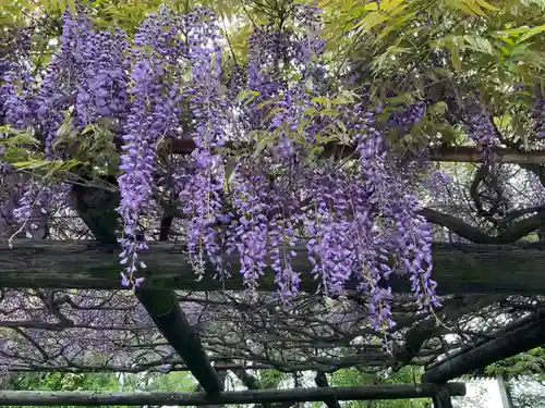 林光寺の庭園