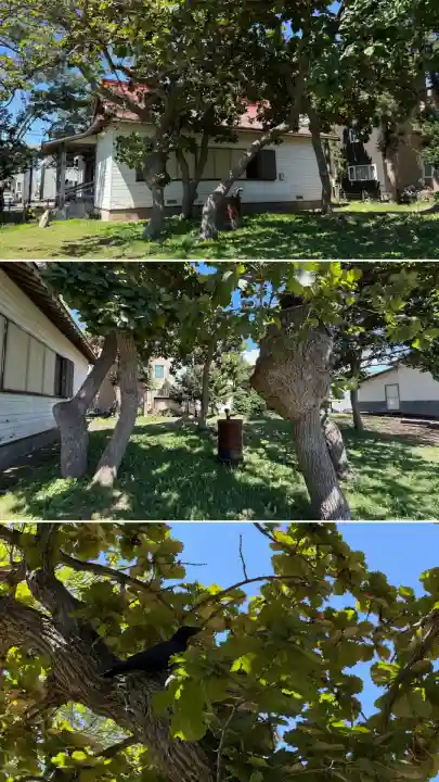 七重浜稲荷神社(北海道)