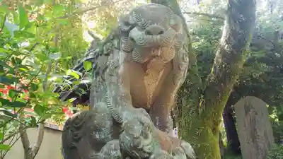 高幡不動尊 金剛寺の狛犬