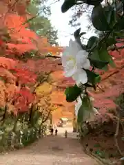 胡宮神社（敏満寺史跡）(滋賀県)