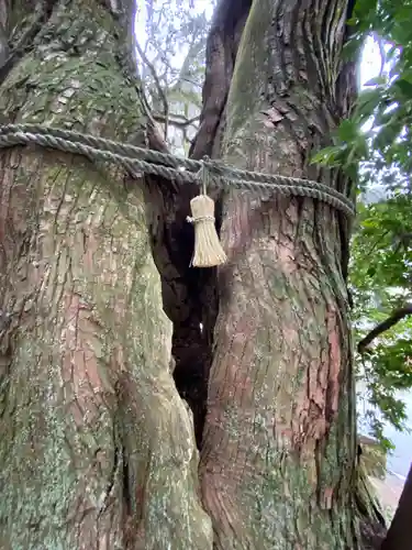 高岡神社(岡山県)