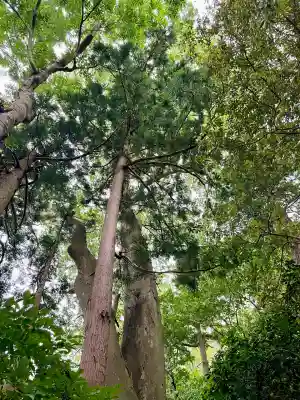 祓戸神社(新潟県)
