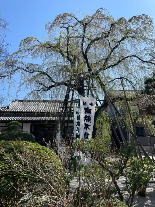 大光寺の{uncategorized: "未分類", other: "その他", undefined: "問題あり", building: "その他建物", grave: "お墓", sacred_gate: "鳥居", guardian: "狛犬", statue: "像", buddha: "仏像", history: "歴史", nature: "自然", garden: "庭園", animal: "動物", pagoda: "塔", temizu: "手水舎", mountain_gate: "山門・神門", sanctuary: "本殿・本堂", subordinate: "末社・摂社", art: "芸術", scenery: "景色", jizo: "地蔵", ema: "絵馬", goshuin: "御朱印", omikuji: "おみくじ", items: "授与品その他", amulet: "お守り", goshuincho: "御朱印帳", eats: "食事", festival: "お祭り", votive_dance: "神楽", shichigosan: "七五三参", wedding: "結婚式", experience: "体験その他", initially: "初詣", around: "周辺", anti_infection: "感染症対策"}