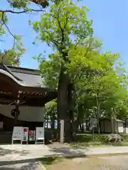 川中島古戦場八幡社の建物その他