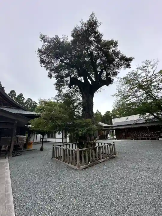 井伊谷宮(静岡県)