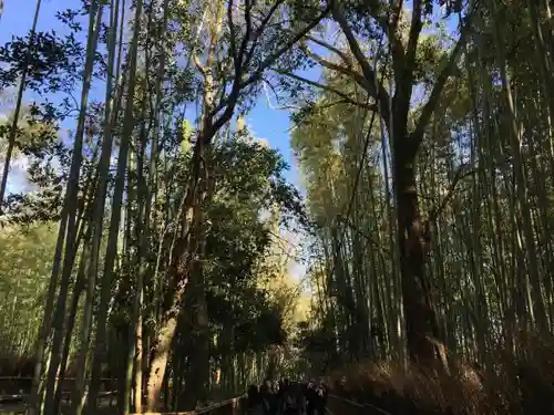 野宮神社の自然