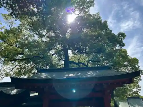武蔵一宮氷川神社(埼玉県)