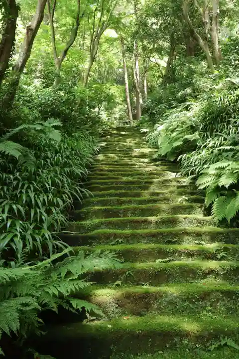 妙法寺(神奈川県)