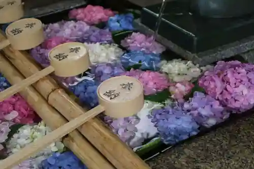 藤森神社(京都府)