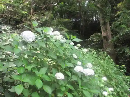安國論寺（安国論寺）の自然